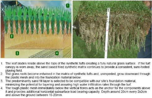 艾云豪專欄：曼城的科學(xué)革命——曼市喋血雙雄，體育館經(jīng)濟學(xué)系列（三） 