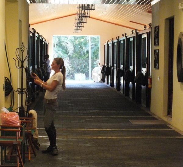 馬術運動在中國：產業鏈上的每個環節都有問題 