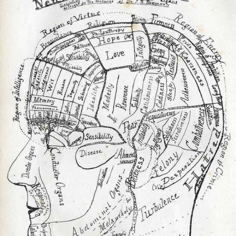 中國體育產業為什么需要這頭來自財經圈的懶熊？ 