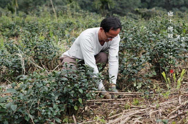 創業者如何講好一個故事？ 