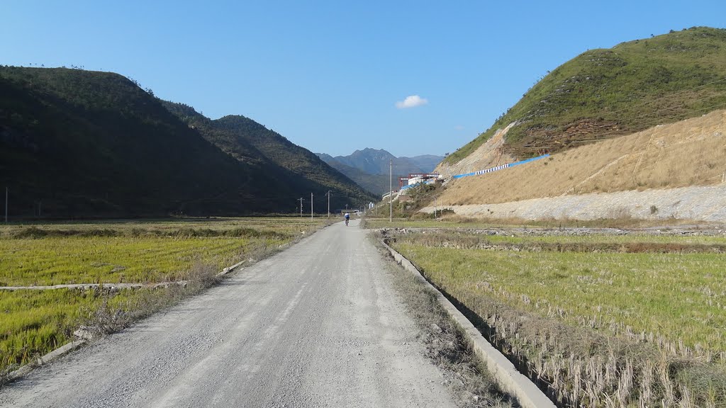 林德韌專欄：體育產業看到了出發，期待著到達—“黃金時代”？還得走著瞧 