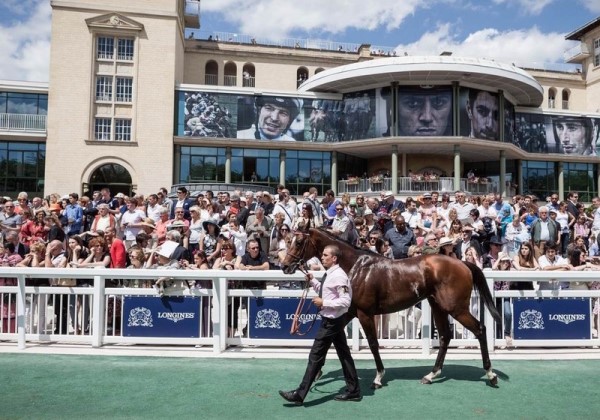 你今天能看到奧運會、世界杯、歐洲杯，都要歸功于法國人 | 歐洲杯特輯 